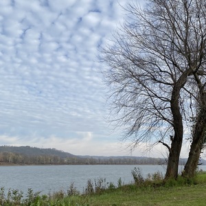 Fundraising Page: Joanne Centa